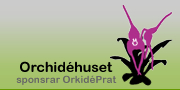 Orchid�huset sponsrar Orkid�Prat